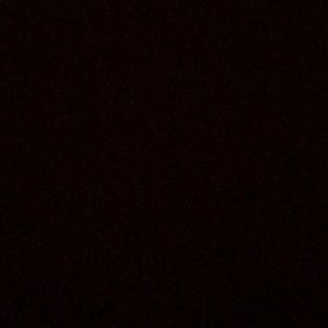 Meet your Posher, Desiree